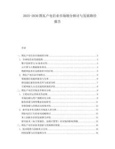 2025-2030圖瓦盧電信業(yè)市場細分探討與發(fā)展路徑報告