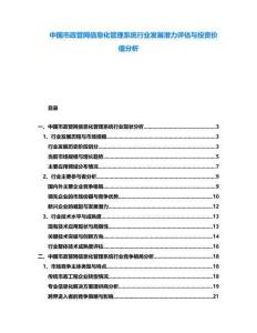 中國市政管網信息化管理系統行業發展潛力評估與投資價值分析