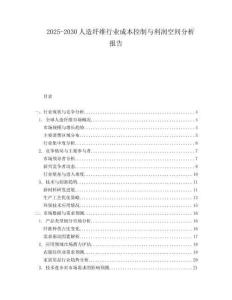 2025-2030人造纖維行業成本控制與利潤空間分析報告