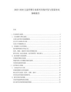 2025-2030人造纖維行業新興市場開發與渠道布局策略報告