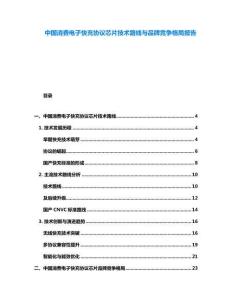 中國消費電子快充協(xié)議芯片技術(shù)路線與品牌競爭格局報告