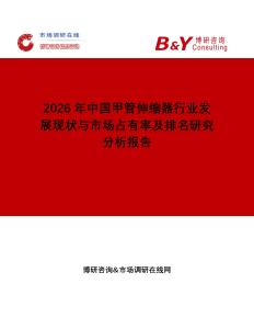 2026年中國甲管伸縮器行業(yè)發(fā)展現(xiàn)狀與市場占有率及排名研究分析報告