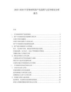 2025-2030半導(dǎo)體材料國產(chǎn)化進(jìn)程與競(jìng)爭(zhēng)格局分析報(bào)告