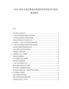 2025-2030人造纖維廢棄資源回收利用技術(shù)與商業(yè)模式報(bào)告