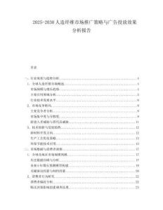 2025-2030人造纖維市場(chǎng)推廣策略與廣告投放效果分析報(bào)告