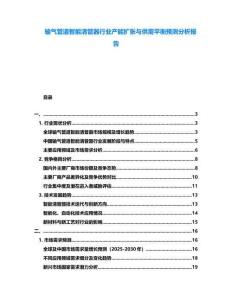輸氣管道智能清管器行業(yè)產(chǎn)能擴張與供需平衡預(yù)測分析報告