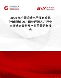 2026年中國消費電子及自動化控制領(lǐng)域DSP微處理器芯片行業(yè)市場動態(tài)分析及產(chǎn)業(yè)前景研判報告
