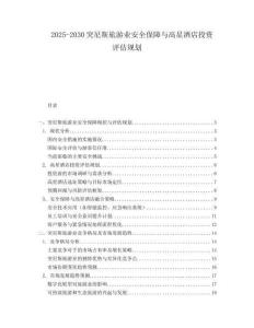 2025-2030突尼斯旅游業(yè)安全保障與高星酒店投資評(píng)估規(guī)劃