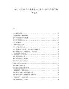 2025-2030銅箔鋰電集流體技術(shù)路線對比與替代趨勢報告