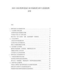 2025-2030特種設(shè)備行業(yè)市場現(xiàn)狀分析與發(fā)展趨勢評價(jià)