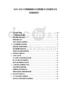 2025-2030中國辣椒醬社區團購模式與終端網點布局策略報告