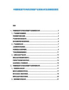 中國新能源汽車電機(jī)控制器產(chǎn)業(yè)發(fā)展分析及戰(zhàn)略規(guī)劃報告