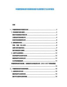 中國(guó)跨境電商市場(chǎng)格局演變與消費(fèi)者行為分析報(bào)告