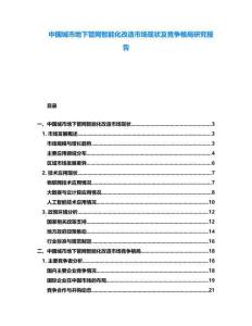 中國(guó)城市地下管網(wǎng)智能化改造市場(chǎng)現(xiàn)狀及競(jìng)爭(zhēng)格局研究報(bào)告
