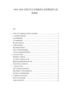 2025-2030中國汽車后市場服務行業消費趨勢與發展規劃