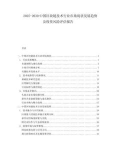 2025-2030中國區塊鏈技術行業市場現狀發展趨勢及投資風險評估報告