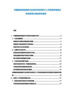 中國新能源投融資行業(yè)項目評估風投介入市場競爭格局分析投資潛力規(guī)劃研究報告