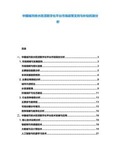 中國城市排水防澇數字化平臺市場政策支持與補貼機制分析