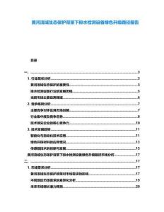 黃河流域生態(tài)保護(hù)背景下排水檢測(cè)設(shè)備綠色升級(jí)路徑報(bào)告