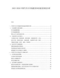 2025-2030中國汽車后市場服務(wù)體系建設(shè)規(guī)劃分析