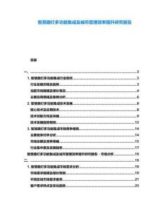 智慧路燈多功能集成及城市管理效率提升研究報(bào)告