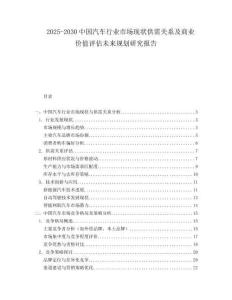 2025-2030中國汽車行業(yè)市場現(xiàn)狀供需關(guān)系及商業(yè)價(jià)值評估未來規(guī)劃研究報(bào)告