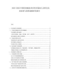 2025-2030中國區(qū)塊鏈技術(shù)應(yīng)用市場深入分析及未來前景與投資戰(zhàn)略研究報(bào)告