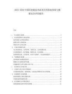 2025-2030中國區(qū)塊鏈技術(shù)政務(wù)應(yīng)用落地效果與數(shù)據(jù)安全評估報告