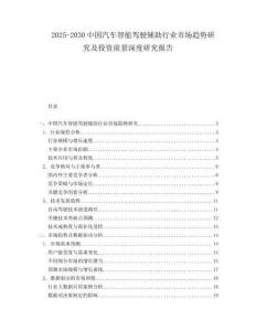 2025-2030中國汽車智能駕駛輔助行業市場趨勢研究及投資前景深度研究報告