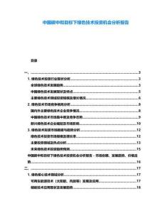 中國碳中和目標下綠色技術投資機會分析報告