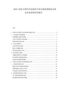2025-2030中國汽車改裝件行業市場供需情況分析及未來發展評估報告