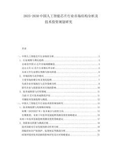 2025-2030中國人工智能芯片行業(yè)市場結(jié)構(gòu)分析及技術投資規(guī)劃研究