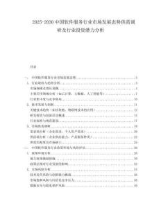 2025-2030中國軟件服務行業(yè)市場發(fā)展態(tài)勢供需調研及行業(yè)投資潛力分析