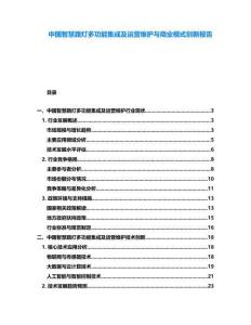 中國智慧路燈多功能集成及運營維護與商業(yè)模式創(chuàng)新報告