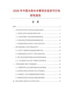 2026年中國太陽傘傘管項目投資可行性研究報告