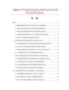 2026年中國碳化鈦強化型焊絲項目投資可行性研究報告