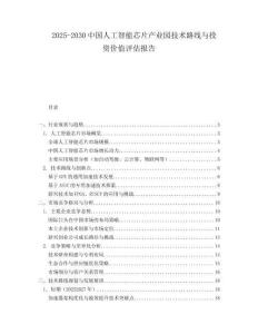 2025-2030中國人工智能芯片產(chǎn)業(yè)園技術路線與投資價值評估報告