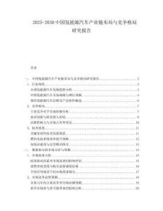 2025-2030中國(guó)氫能源汽車產(chǎn)業(yè)鏈布局與競(jìng)爭(zhēng)格局研究報(bào)告