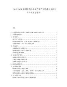 2025-2030中國氫燃料電池汽車產(chǎn)業(yè)鏈成本分析與商業(yè)化前景報告