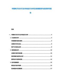 中國(guó)電子支付行業(yè)市場(chǎng)運(yùn)行分析及發(fā)展前景與投資研究報(bào)告