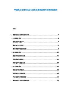 中國(guó)電子支付市場(chǎng)運(yùn)行分析及發(fā)展前景與投資研究報(bào)告