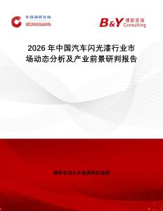 2026年中國汽車閃光漆行業市場動態分析及產業前景研判報告