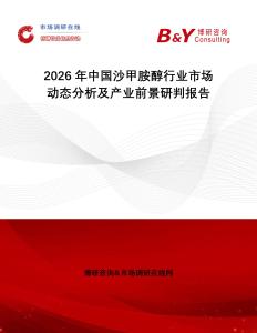 2026年中國(guó)沙甲胺醇行業(yè)市場(chǎng)動(dòng)態(tài)分析及產(chǎn)業(yè)前景研判報(bào)告