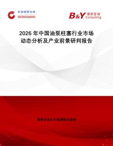 2026年中國油泵柱塞行業(yè)市場動態(tài)分析及產(chǎn)業(yè)前景研判報告