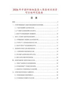 2026年中國纖維柄藍漆八角漆項目投資可行性研究報告