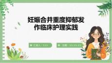 妊娠合并重度抑郁發(fā)作臨床護理實踐