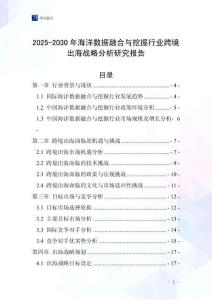 2025-2030年海洋數據融合與挖掘行業跨境出海戰略分析研究報告