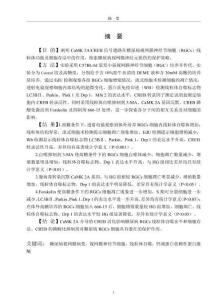 CaMK 2ACREB信號通路在體外高糖培養下RGCs細胞損傷中的作用研究