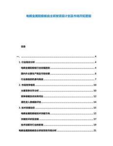 電解金屬陽極板自主研發(fā)項(xiàng)目計(jì)劃及市場(chǎng)開拓管前