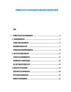 中國(guó)電子支付行業(yè)市場(chǎng)競(jìng)爭(zhēng)與商業(yè)模式演進(jìn)研究報(bào)告